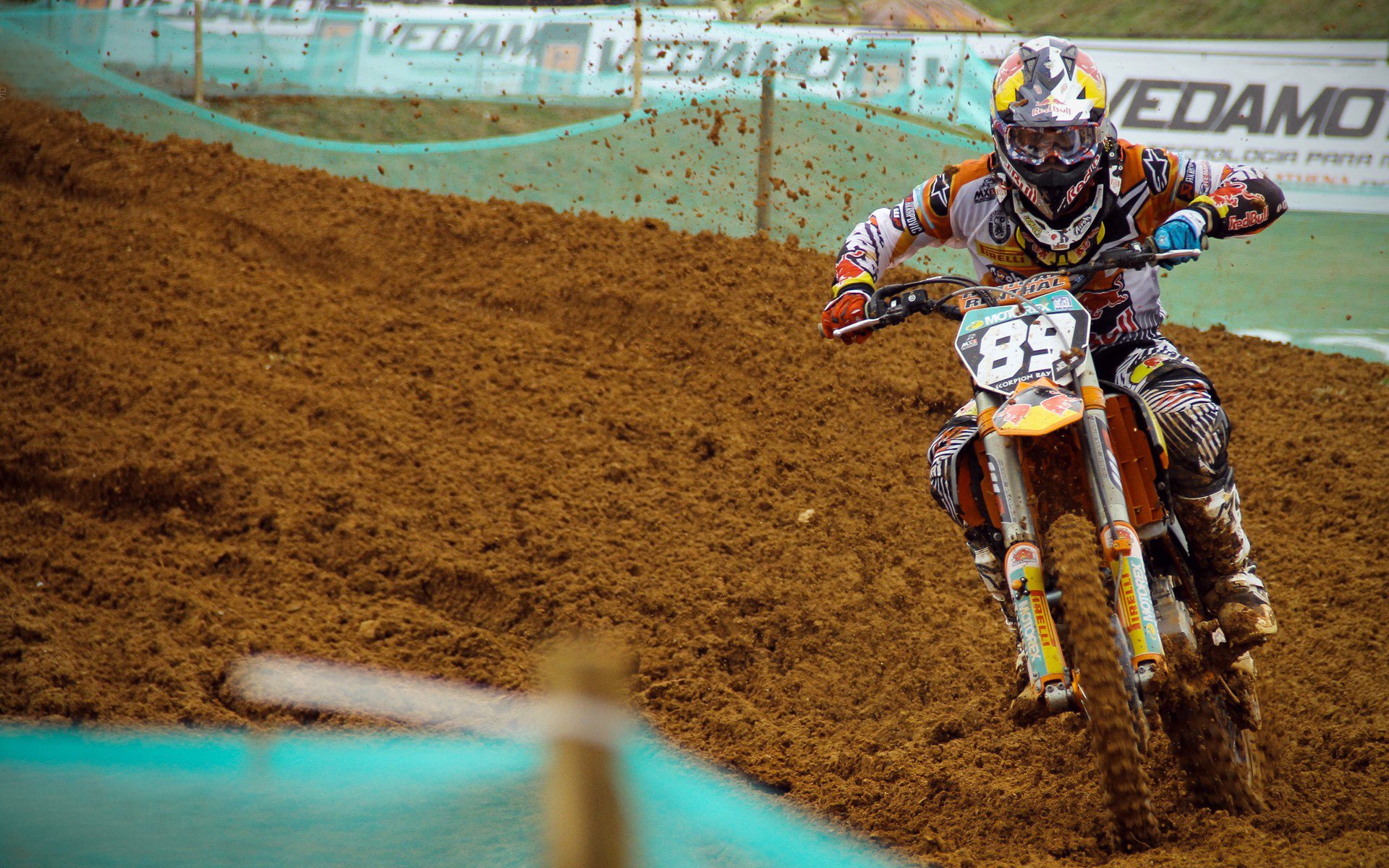 跨越赛场的传奇，广厦登顶与莫兰特封神，定义属于自己的冠军之路